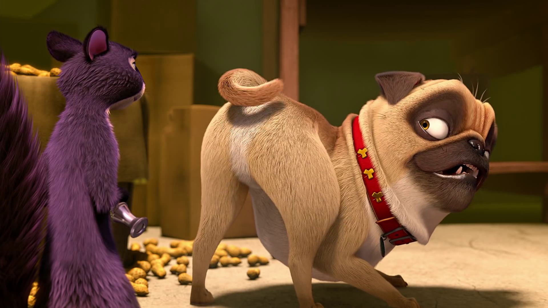 Princess the Pug voiced by Maya Rudolph in "The Nut Job"