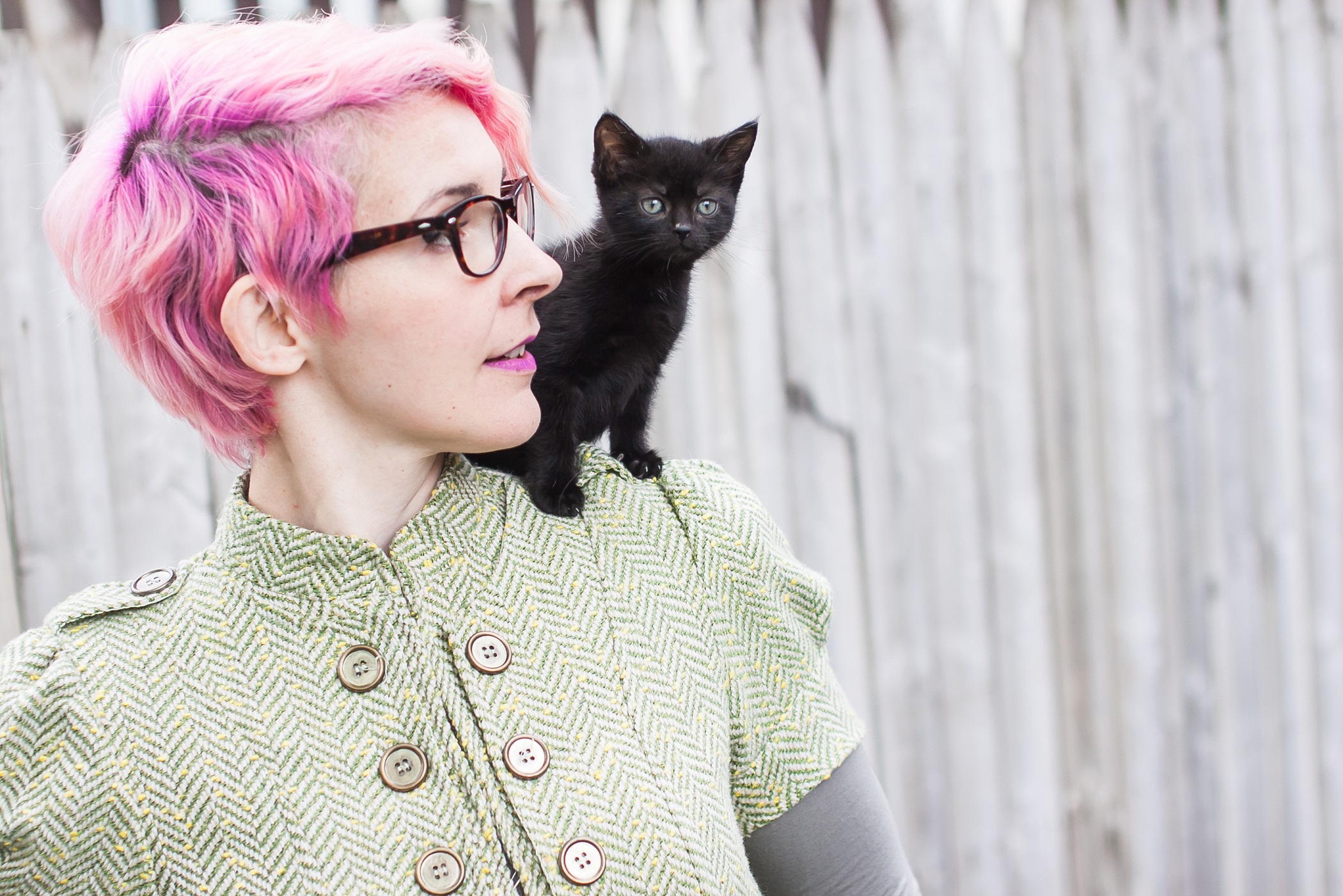 Sarah Donner and the Adventure of the Indie Musician/Cat Lady
