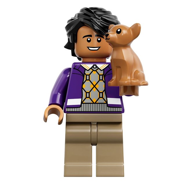 Raj Minifigure