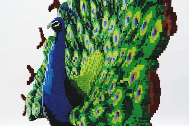 Sean Kenney's Peacock