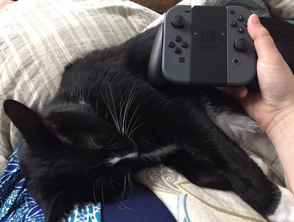 kittycontroller