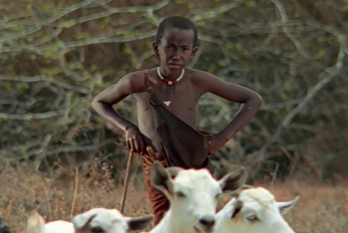 Young Maasai boy standing with goats